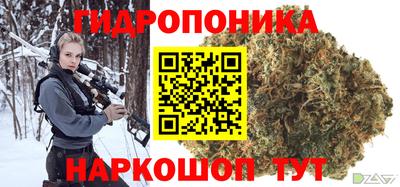 мдпв Жуковский