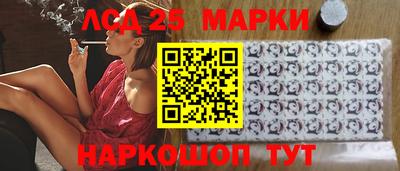 шишки Аргун