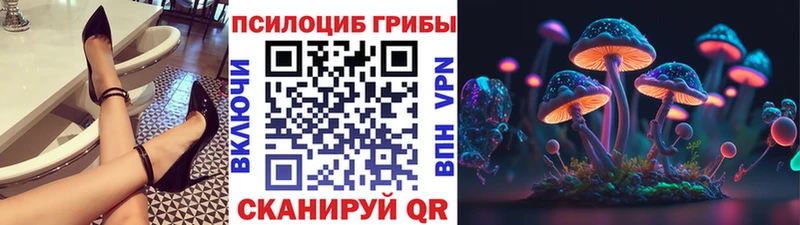 наркотики  кракен как зайти  Псилоцибиновые грибы Psilocybine cubensis  Зеленодольск 
