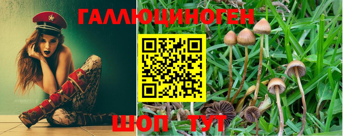 Зеленодольск  Галлюциногенные грибы мухоморы  Вход с VPN  Псилоцибиновые грибы GOLDEN TEACHER 