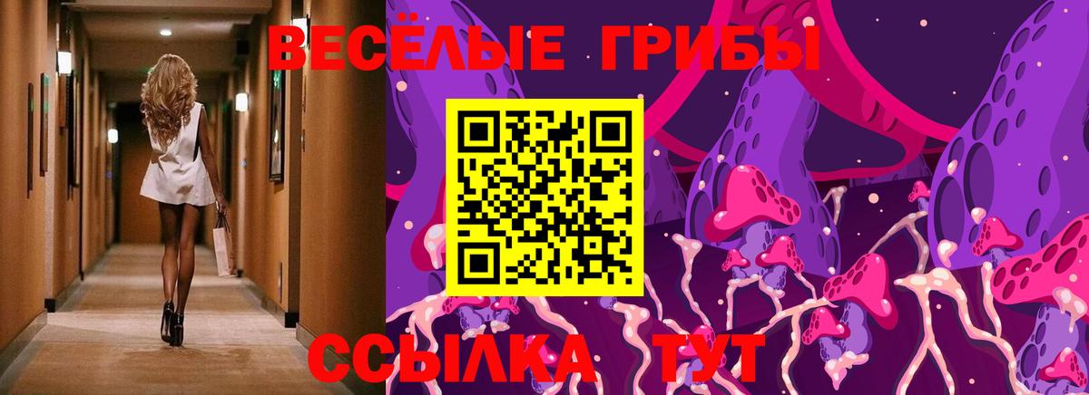Псилоцибиновые грибы MAGIC MUSHROOMS Зеленодольск